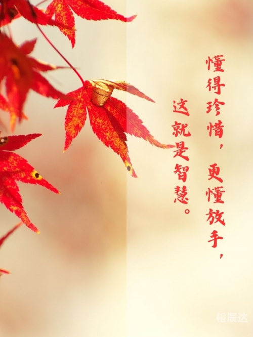 东方心经a东方心经A，探寻内心的智慧与力量-第3张图片