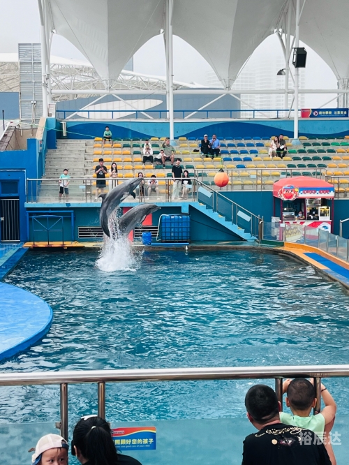 海狮报海狮报，海洋之声的启示