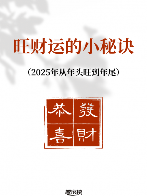 财运网，财富之门的新启航