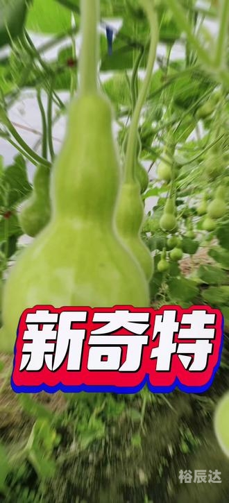致富信息大全158致富信息网，揭秘致富之路，把握商机无限-第2张图片