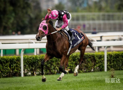 香港赛马会排位表 赛事 资料 主页香港赛马会排位，赛马运动的荣耀与挑战-第2张图片