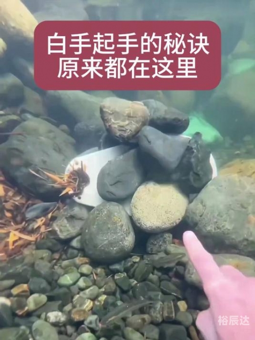 白手起家txt文章