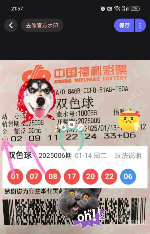双色球2017061双色球2017061，神秘与机遇的彩票之旅-第3张图片