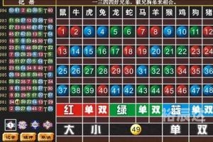 2020生肖号码波色表图2020生肖号码波色表图揭秘-第2张图片