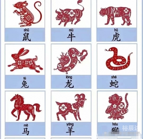 最准一肖一.100%准胆小如鼠最准一肖一，100%准的神秘预测