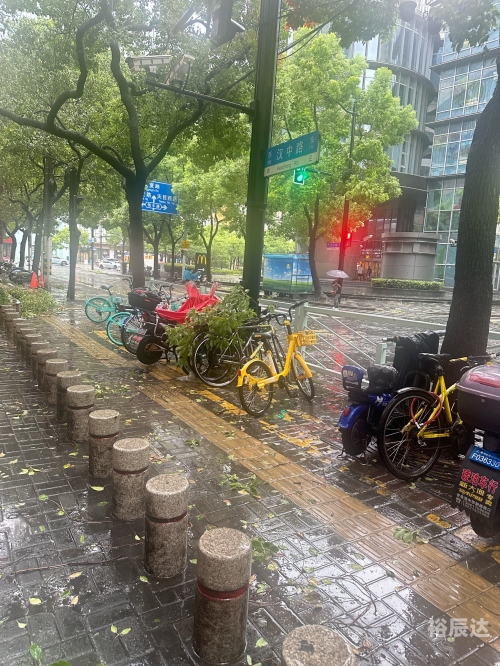 上海台风2024贝碧嘉上海遭遇台风，风雨中的城市之旅