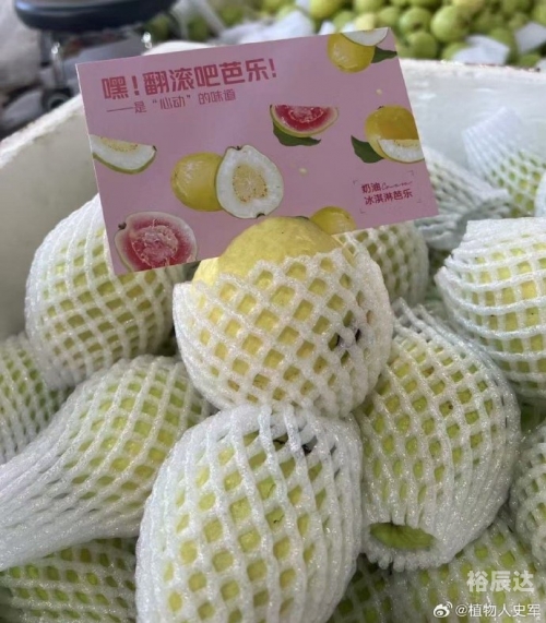 xfb幸福宝芭乐app幸福宝芭乐app官网入口介绍-第2张图片