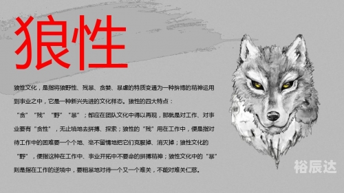 广西狼权威精英论坛广西狼论坛，探寻狼性精神的圣地-第3张图片