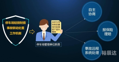 管家婆一句赢，智慧与决策的智慧-第2张图片