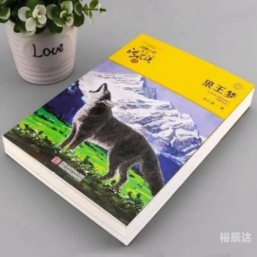 狼王梦在线阅读电子书狼王梦在线阅读-第2张图片