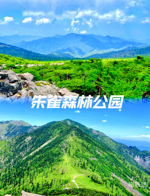 端午这些景点最热门 视频端午热门景点推荐-第2张图片
