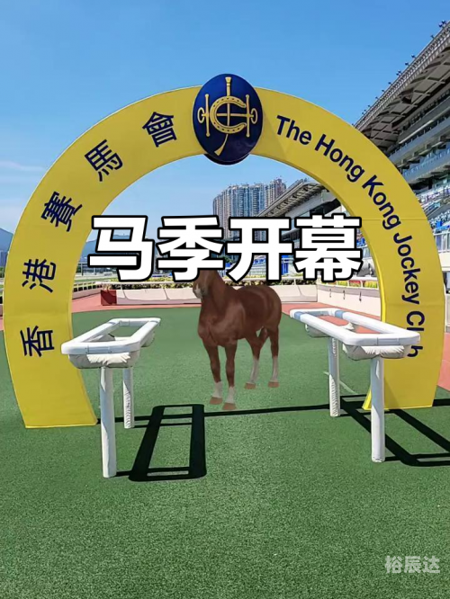 香港马赛马会最准资料香港马赛马会最准资料概述