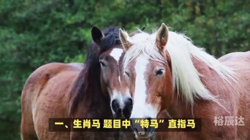 2019年特马生肖图2019年特马生肖图-第3张图片