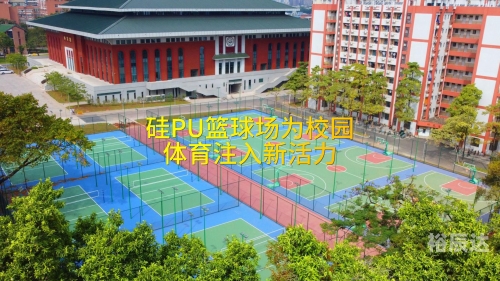 微体育吧，体育新风尚的聚集地