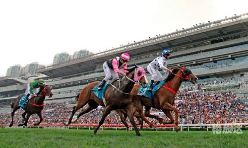 香港马会2021年开奖日期揭晓-第2张图片
