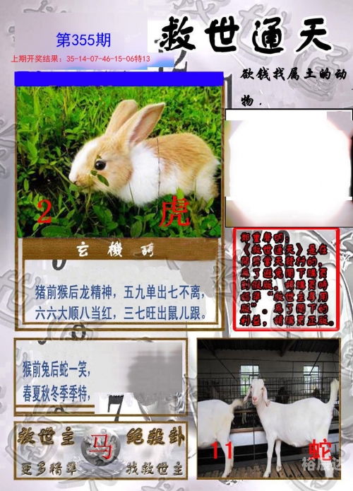 新跑狗高清跑狗图彩图新跑狗高清跑狗图彩图，引领潮流的视觉盛宴