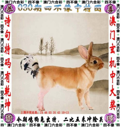 2024天天彩资料大全免费6002024天天彩资料大全免费，彩市风向标与实战技巧-第2张图片