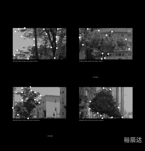 万众118图库万众118图库，探索数字时代的视觉宝库