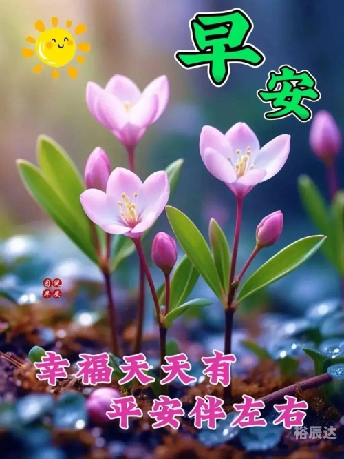 大家好图片 最新图片 漂亮大家好！今天我想和大家分享一些有趣的图片。在我们的日常生活中，图片是一种非常直观、生动的方式，让我们能够更好地理解和感受世界。下面，让我们一起欣赏这些图片吧！