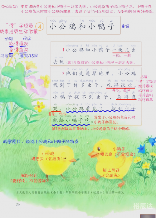 喂养小鸭子的注意事项喂养小鸭3中文版-第2张图片