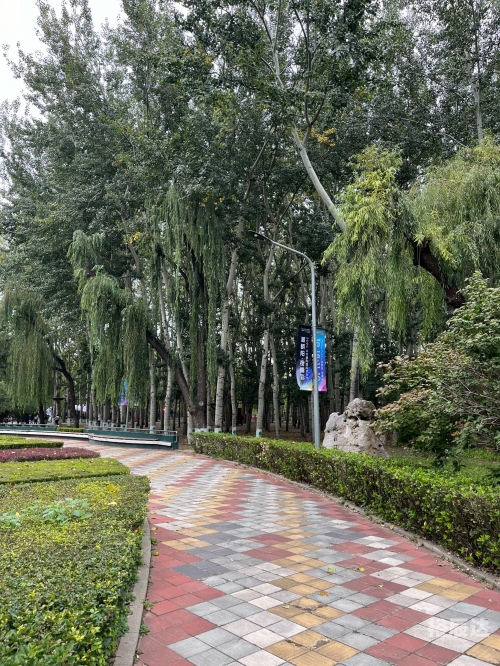朝阳景点朝阳景点介绍-第2张图片
