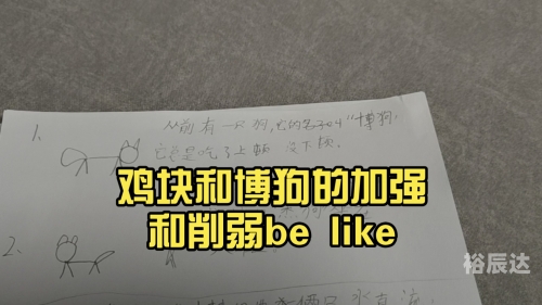 博狗网址，探索网络世界的神秘之门