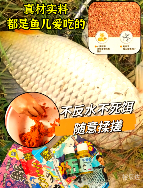 钓鱼王论坛钓鱼王论坛，探索钓鱼爱好者的交流平台