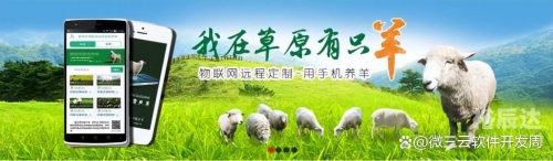 金鹰网站金鹰网站，引领网络新潮流