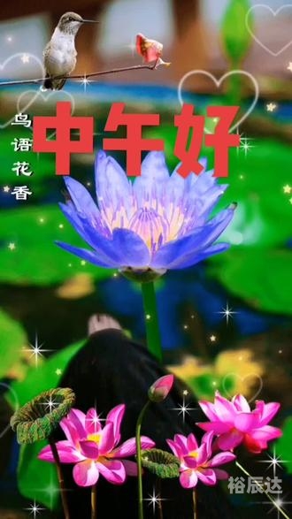 365每一天论坛365每一天论坛，探索无限可能-第2张图片