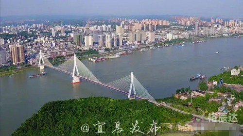 最准一肖一码一一子中特7955，揭秘彩票预测与号码分析-第3张图片