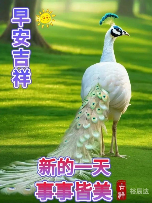 快乐12快乐12，生活中的美好时刻
