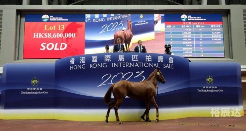 香港马会内部免费资枓香港马会内部免费资源介绍