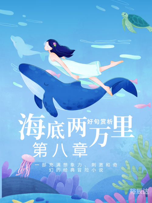 大彩鲸大彩鲸，神秘的海洋生物