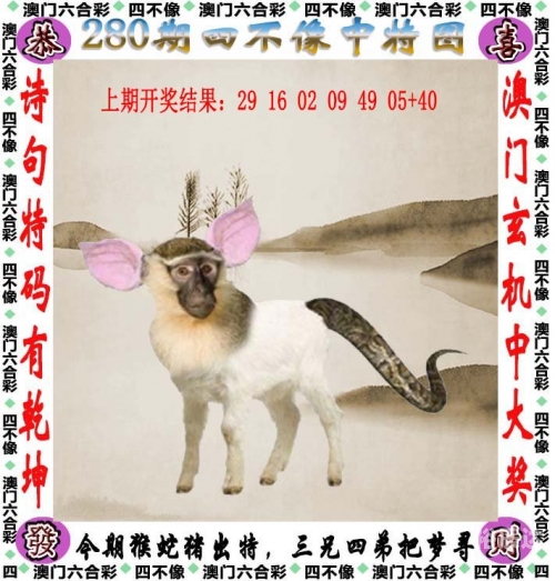 全香港最快最准的资料四不像全香港最快最准资料概述-第2张图片