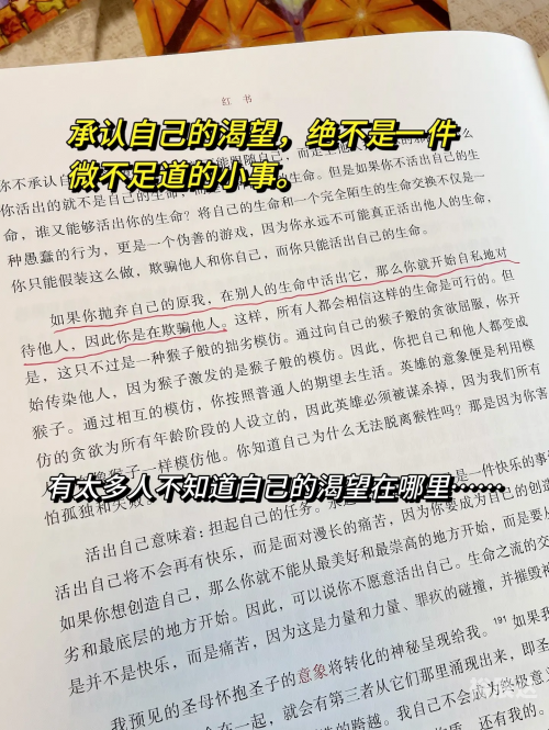 金六福心水论坛，探索心灵交流的海洋-第2张图片