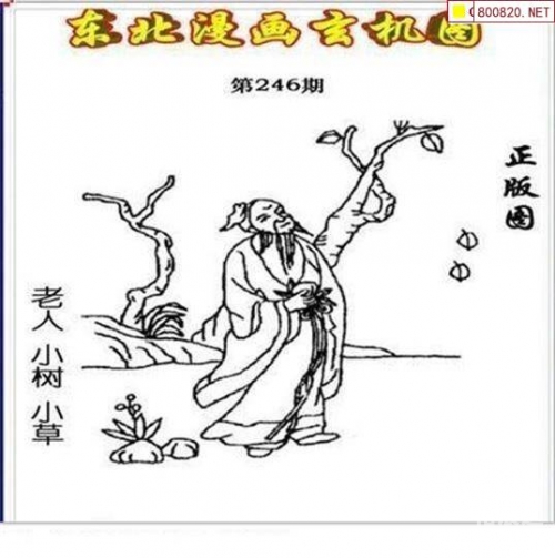 246玄机图资料246玄机图资料概述-第2张图片