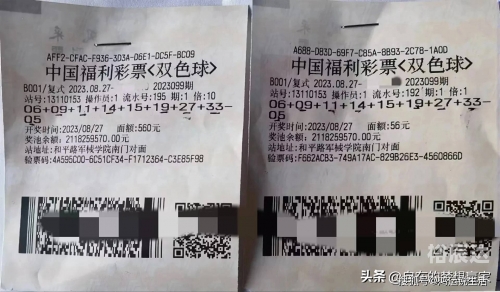 双色球机选器，彩票游戏的神秘力量-第3张图片