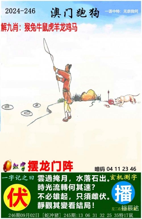 好彩网，生活中的幸运之网