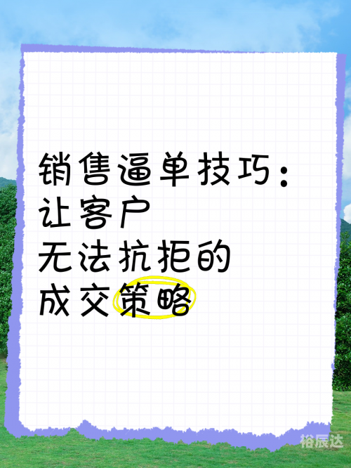 大赢家即时比分，策略与技巧-第2张图片
