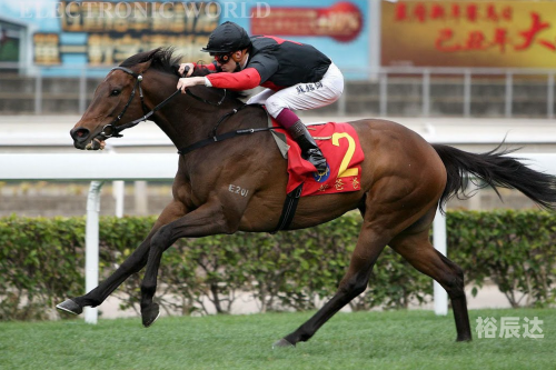2021年香港马会今期开奖2021年香港马会今期开奖回顾-第3张图片