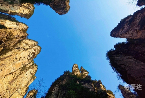 上海到张家界旅游上海至张家界旅游攻略-第2张图片