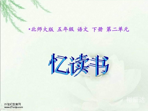 要看书网站要看书网，阅读新体验-第1张图片