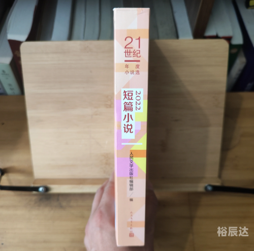 正版资料大全全年2019小说2正版资料大全，全年2019小说精选-第1张图片