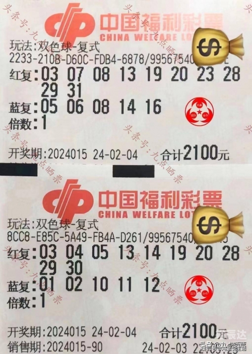 555彩票网，彩票投注的新选择-第2张图片