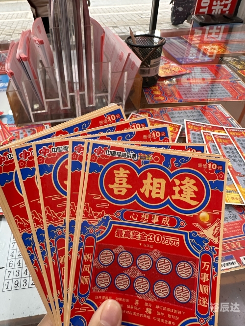 2024天天彩正版资料大全,时代资料解释2024天天彩正版资料大全，彩票投注全攻略-第2张图片