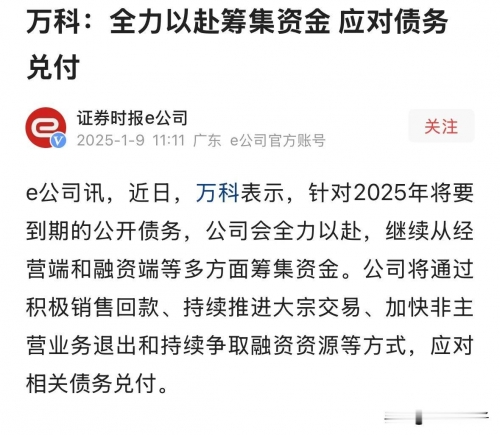 万科融资万科融资策略与挑战-第1张图片