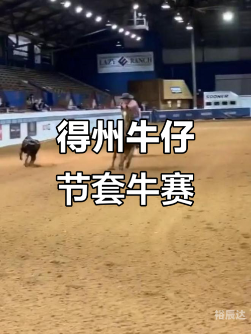 2019年手机开奖结果回顾