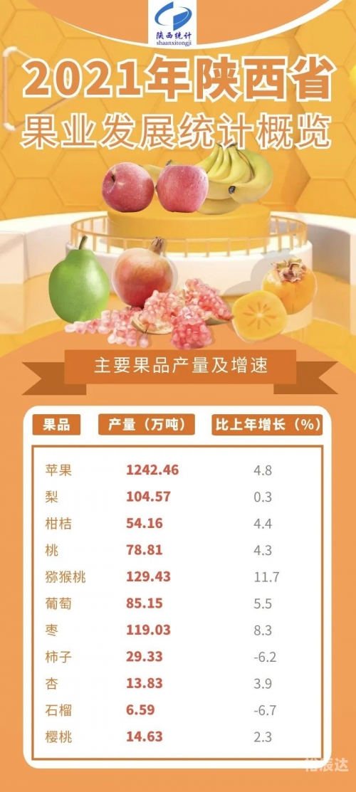 2021年香港马内部免费资料概览-第2张图片