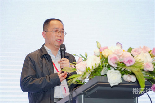 天齐网论坛，探索网络世界的智慧之窗-第2张图片