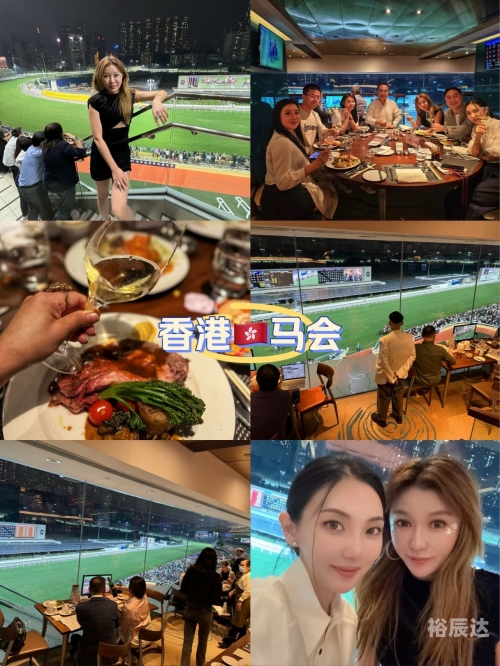 香港马会资料香港马会资料概述-第2张图片